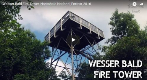 Wesser Bald on the Appalachian Trail